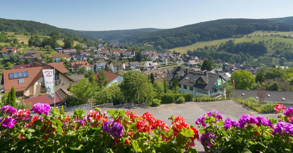 Panorama Hotel Heimbuchenthal Luaran gambar